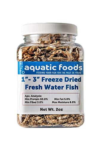1"-3" Freeze Dried Fresh Water Fish... 2oz Small Jar | Fresh Water Fish For Piranha, Large Fish, Turtles, For Cats, Sugar Glider, Marmosets, For Chinchillas, Squirrels, Hamsters - size: 2 Ounce (Pack of 1)