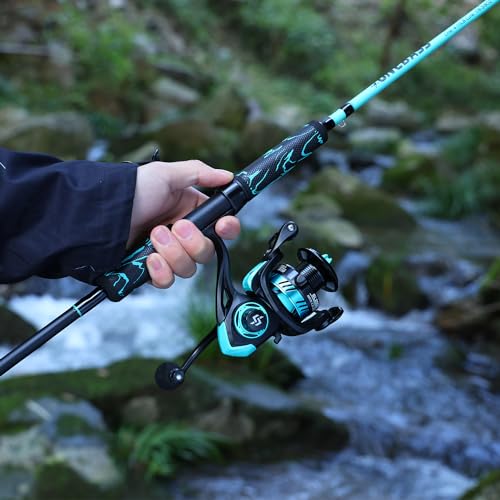 One Bass Spinning Rod & Casting Rod, High Performance IM6 Graphite Fishing Pole for Bass Fishing,2- Piece Desgin for Travel - size: 6'0"-ML-Fast, style: Spinning