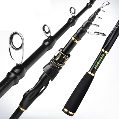 Fishing Rod and Reel Combo - Carbon Fiber Telescopic Fishing Pole with 2000 Spinning Reel Combos - Sea Saltwater Freshwater Ice Bass Fishing Tackle Set Fishing Rods Kit Fishing Poles and Reels Combo - color: Single Fishing Rod, size: 5.9 ft
