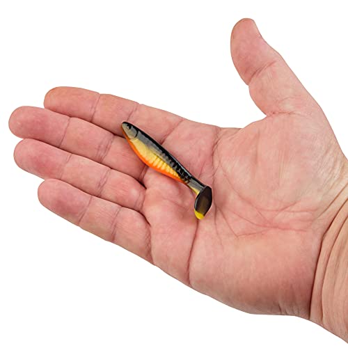 Berkley PowerBait The Champ Swimmer Fishing Soft Bait - color: Fool's Gold, size: 3"