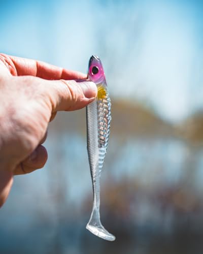 Nomad Design Spectre Minnow 3.25" Internal Foil System, Soft Paddletail - (5 Pack) - Live Ops for Fresh or Saltwater Inshore Species - color: Sexy Shad