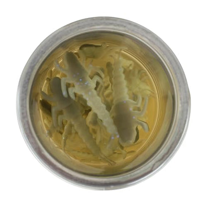 Berkley Gulp! Alive! Stonefly Fishing Soft Bait - color: Starry Night