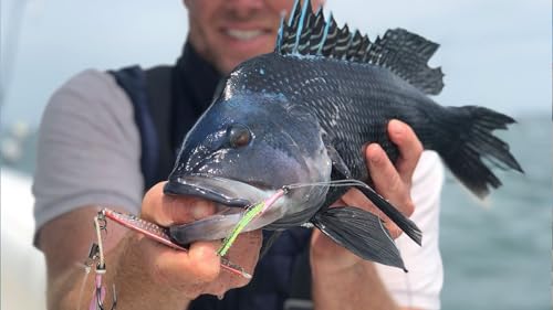 Hogy Jig-Biki Rigs – Premium Teaser Rig for Groundfish, Saltwater Slow Pitch Jig Compatible Dropper Rig for Bottom Fishing, Natural Micro Crab Imitation for Seabass Fluke Haddock - size: 1/0 (30lb)