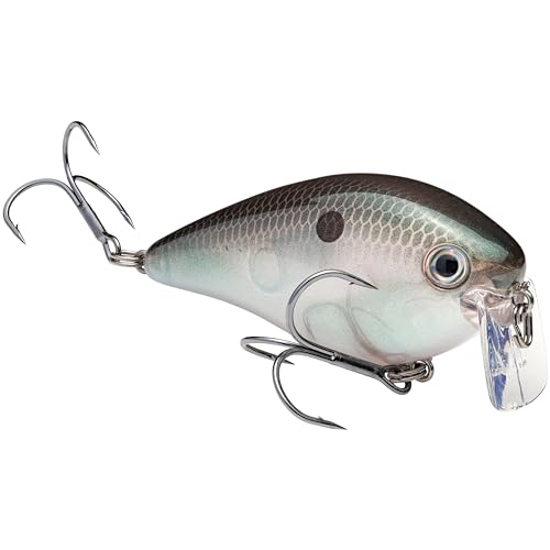 Strike King KVD 2.5 Wake Bait Fishing Lure, 3/8 oz, Unique Clacking Sound - color: 568 - Green Gizzard Shad