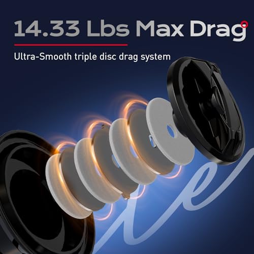 Handing LITE II Spinning Reels Freshwater Spinning Fishing Reels 14.33 Lbs Max Drag Ultra Smooth 5.2:1 Gear Ratio Aluminum Spool 3+1 BB Handle Interchangeable - size: Size 3000