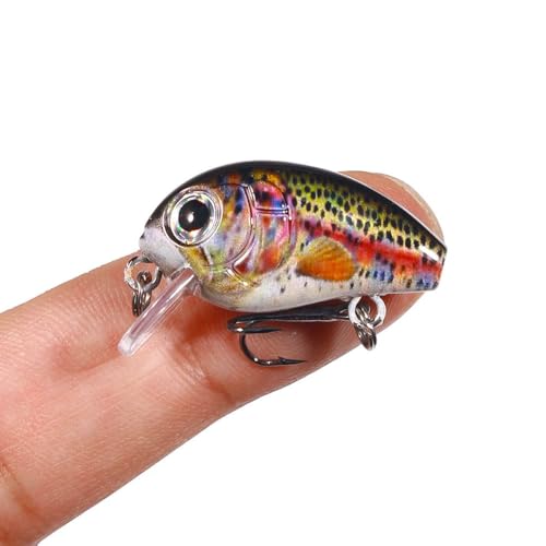 5 Pcs Mini Fishing Crankbaits Kit,Realistic 3D Eyes Floating Swimbait for Bass, Trout, Perch, Walleye,with Tackle Box