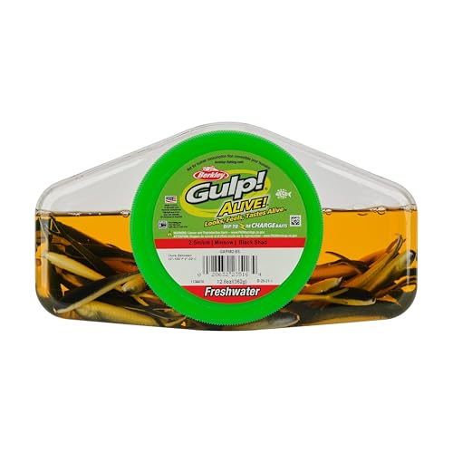 Berkley Gulp! Alive! Minnow Fishing Soft Bait - color: Black Shad, size: 2 1/2in - Pint 4x7