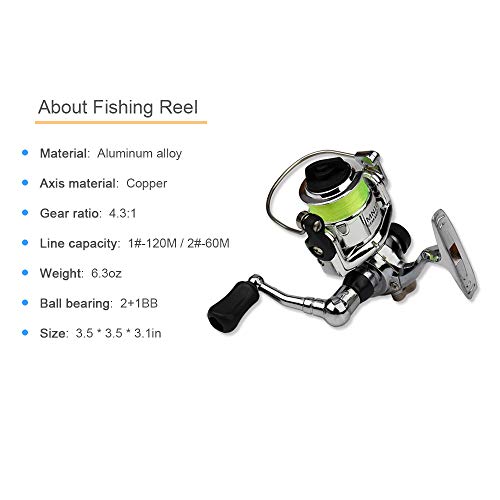 Lixada Fishing Rod Reel Combo Mini Pen Fishing Pole Kit Telescopic Fishing Rod Spinning Reel Combo Kit - color: Red, size: 1.6 m