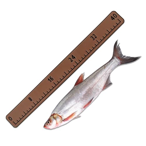 Fish Ruler for Boat 40in Foam Fishing Measuring Tool with 3M Self-Adhesive Backing for Boats Sailboats Yachts Kayaks - color: Dark Brown