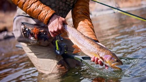 Scientific Anglers Absolute Fluorocarbon Trout Tippet - size: 6.5x, style: 30m - Absolute Fluorocarbon Trout Tippet