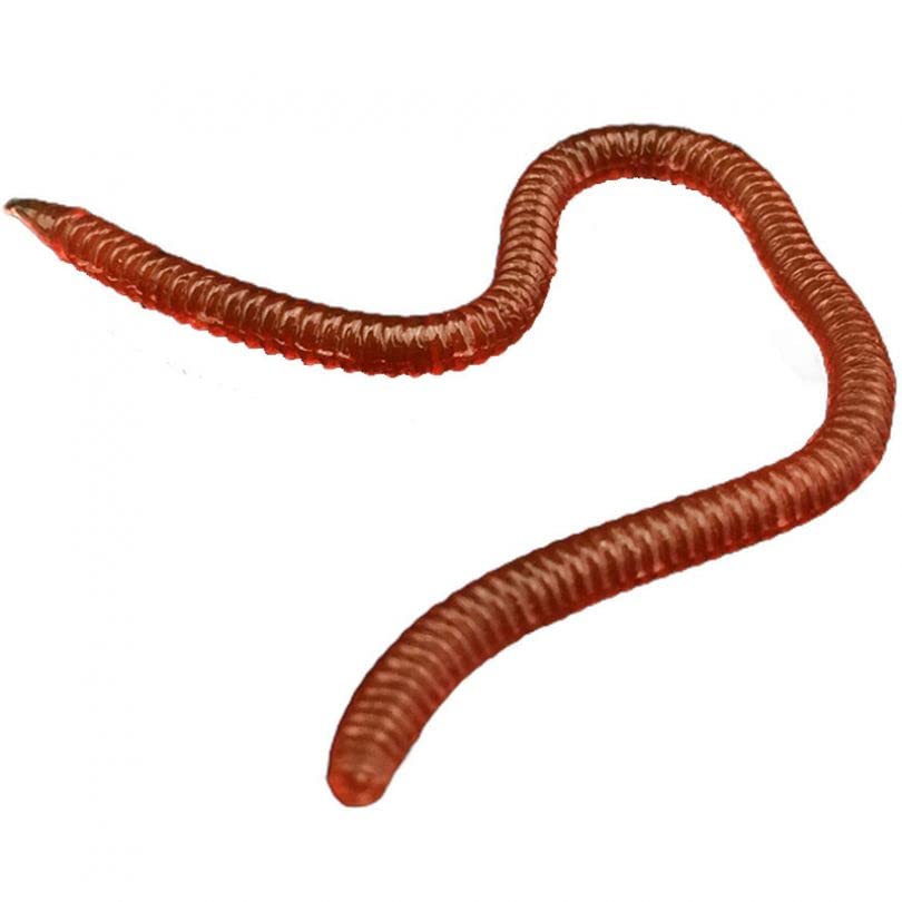 20pcs Worms for Bass Fishing, Soft Plastic Fishing Lures Plastic Worms, Fishing Worms for Bass Fishing Freshwater Saltwater