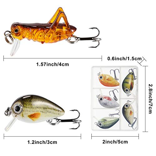 Skylety 10 Pieces Mini Fishing Lures Fishing Hard Baits Hooks Crankbaits Lures Baits Topwater Strong Sound for More Bites Freshwater Saltwater Trout Bass Perch with Box - style: Locust and Fish Series