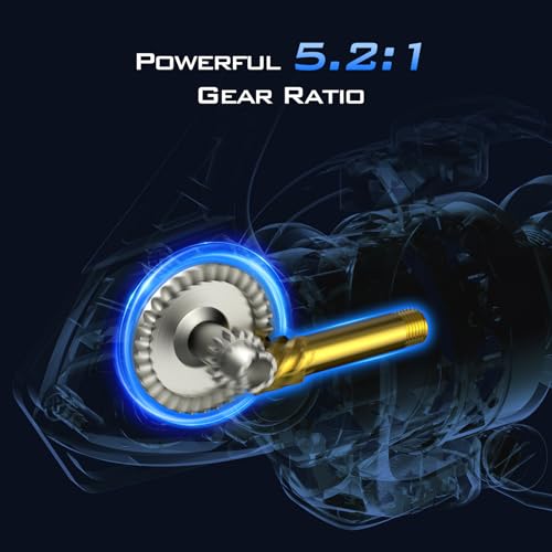 KastKing Centron & Centron Lite Spinning Reels, Size 500 is Perfect for Ice Fishing, Up to 17.5 Max Drag, 5.2:1 Gear Ratio, Ultra Smooth Powerful, CNC Aluminum Spool, 9+1 BB Light Weight - color: Centron Lite - Collapsible Handle, size: Size 3000