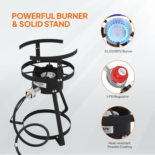 ROVSUN 10Qt Aluminum Fish Fryer Pot with Strainer Basket, Outdoor Fryer with 55,000 BTU Propane Gas Burner, Thermometer & Lid for Fish, Chicken Wings, Seafood Frying & Backyard Cooking - size: 10QT