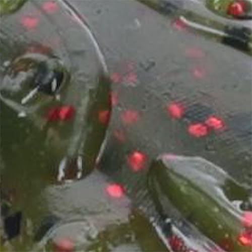Strike King Rage Scounbug Soft Bait Fishing Lure, 3.5", 2 Rage Flange Pincers - color: Watermelon Seed with Red Flake