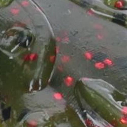 Strike King Rage Scounbug Soft Bait Fishing Lure, 3.5", 2 Rage Flange Pincers - color: Watermelon Seed with Red Flake