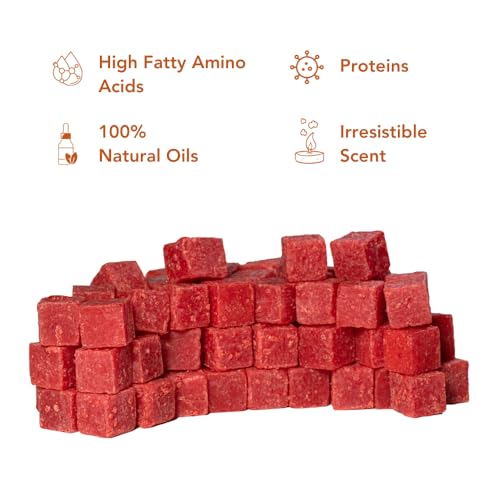 Catfish Pro Catfish Bait - 10oz Bag with 80pcs | Irresistible Scent for Catfish | Mess-Free, Stays On Your Hook When Nothing Else Will | Great for Rod, Reel, Trotline, Jugs & Yoyos Fishing - color: Chicken Liver
