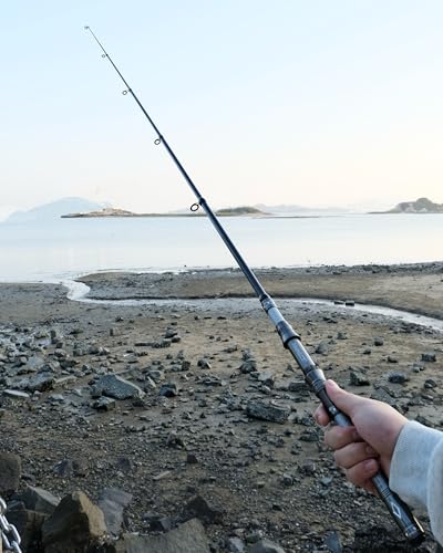 Telescopic Fishing Rod - Lightweight 42T Carbon Fiber Portable Travel Rod for Freshwater River Fishing, Beginner & Kid Friendly 5.9ft/6.9ft/7.9ft/8.9ft/9.9ft/10.9ft - size: 2.4m/7.9ft