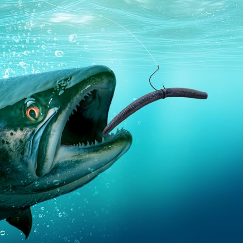 Senko Bait Soft Plastic Lures 5" Senkos 24 Pcs/100pcs for Wacky Rig Freshwater Fishing Green Pumpkin senko with Black Flake Pink Watermelon Double Color - style: Black Blue Flake