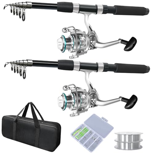 2PACK Fishing Pole Combo,Fishing Rod Combos with Telescopic Fishing Pole Spinning Reels Fishing Carrier Bag for Travel Saltwater Freshwater - color: Silvery