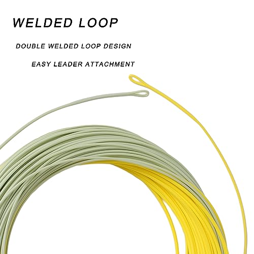 Trout Fly Fishing Line, Weight Forward Floating with 2 Welded Loops - color: Moss Green+ Gold, size: WF6F-100FT