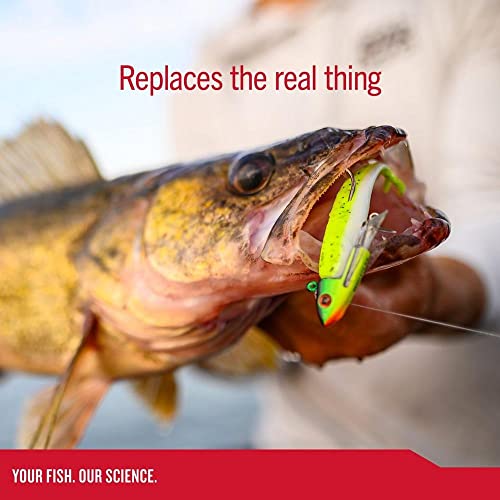 Berkley Gulp! Minnow Fishing Soft Bait - color: Rainbow, size: 4"