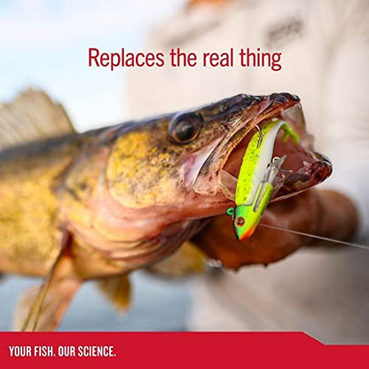 Berkley Gulp! Minnow Fishing Soft Bait - color: Rainbow, size: 4"