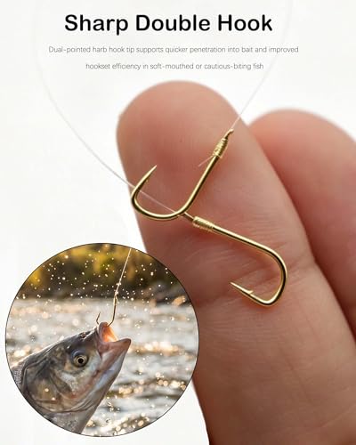 Pre-Tied Leader Hooks with Portable Plastic Board Organizer,Barb Hooks with Nylon Fishing Line (5 Packs, 10 Pieces per Pack), Sharp Double Hook Design for Carp Fishing - size: 2-6