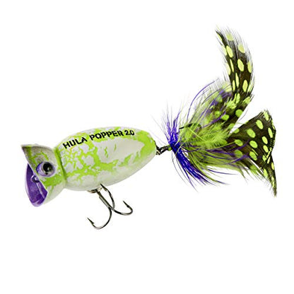 Arbogast Hula Popper 2.0 Topwater Fishing Lure with Feathered Treble Hook and Crackle Pattern Body - color: White Zombie
