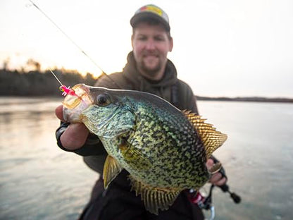 Northland Tackle Rigged Tungsten Broom Bug Ice Fishing Jigs with Sharp Hooks, 2 Pre-Rigged Jig Heads & 3 Extra Ice Fishing Plastics, Tungsten Jig Heads for Panfish, 1/16 Oz, Fruit Fly