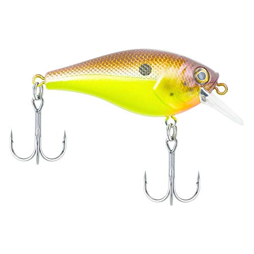 Berkley SquareBull Gilly 5.5 - color: Brown Mustard