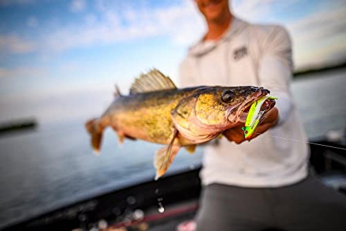 Berkley Gulp! Minnow Fishing Soft Bait - color: Rainbow, size: 4"