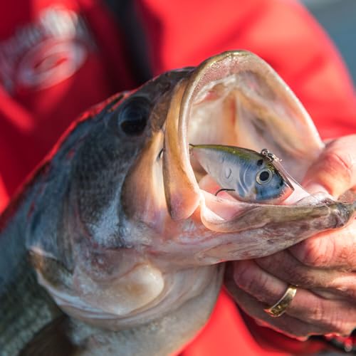 Strike King Red Eyed Shad Fishing Lure - color: Natural Shad, size: 0.5 ounce