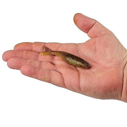 Berkley PowerBait PowerStinger Fishing Soft Bait - color: Sun Gill, size: 3 1/2"