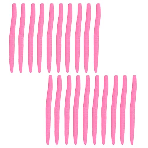 Soft Plastic Worms for Bass Fishing 20pcs FS/RE-09 | Salted ,Soft Plastic ,Fishing Lures ,with Hook Slot ,5.31in ,Saltwater Freshwater ,Bass Baits - color: Color H