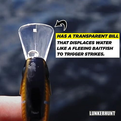 Lunkerhunt Impact Jolt | Crankbait, Deep Diving Hard Bait Fishing Lure | Flat Sided Square Bill, Clear Water, Fresh Water Lure for Bass Fishing, Trout and Spike, Crappie - color: Shock Yellow
