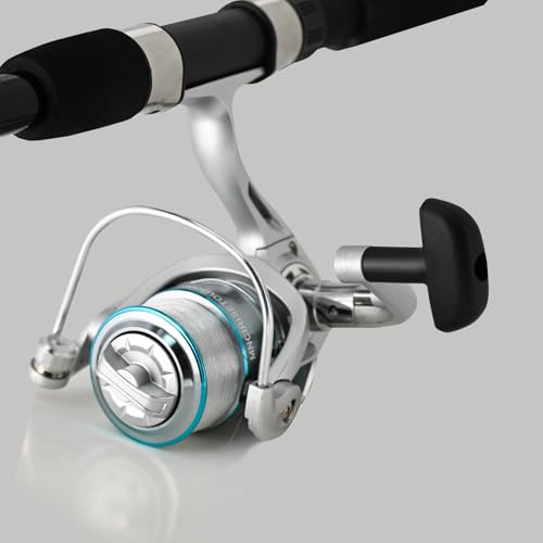 2PACK Fishing Pole Combo,Fishing Rod Combos with Telescopic Fishing Pole Spinning Reels Fishing Carrier Bag for Travel Saltwater Freshwater - color: Silvery