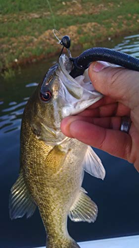 Sink-O-Ring Wacky Rig Kit O Ring NO Tool Needed Use Senko Worms Fishing Hooks O-Rings Easy to Rig Saves Time and Money (1/4", 3/8" OR 5/8" Black)