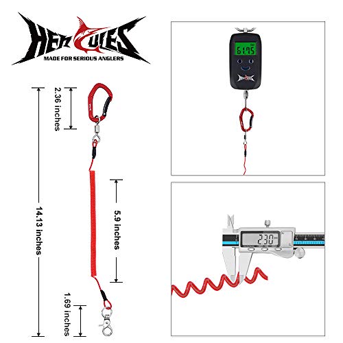 HERCULES M4 Fishing Lanyard, Fishing Pole Tether, Kayak Paddle Leash, Heavy Duty Retractable Coiled Lanyard for Fishing, Rods, Pliers, Boating, Paddles, Kayak - color: Pack of 2 Red, 5.9"