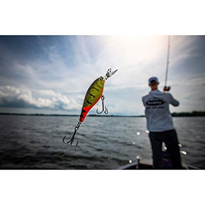 Berkley Flicker Shad Fishing Lure, Black Gold Sunset, 5/16 oz, 2 3/4in | 7cm Crankbaits, Size, Profile and Dive Depth Imitates Real Shad, Equipped with Fusion19 Hook - color: Black Gold Sunset, size: 2 3/4in - 5/16 oz
