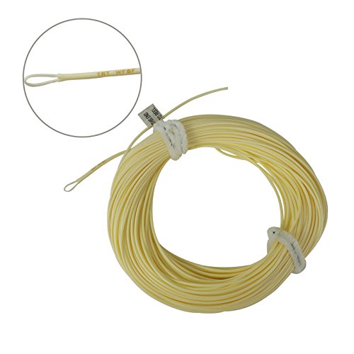 Aventik Fly Fishing Line Float Weight Forward Fly Line Fishing Trout Line Exposed Loop - color: Milk, size: WF-5F