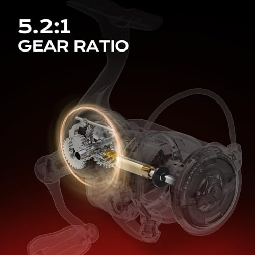 Handing M1 Elite Spinning Reels Fishing Reels Spinning 13.23 Lbs Max Drag Screw-in Handle Slow Oscillation System 5.2:1 Gear Ratio 9+1 Stainless BB Size 1000-4000 - size: Size 2000