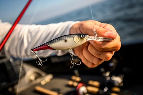 Berkley Flicker Shad Fishing Lure, Firetail Chrome Candy, 5/16 oz, 2 3/4in | 7cm Crankbaits, Size, Profile and Dive Depth Imitates Real Shad, Equipped with Fusion19 Hook - color: Firetail Chrome Candy, size: 2 3/4in - 5/16 oz
