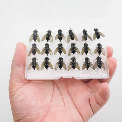 Bionic Fly Fishing Bait,18pcs/36pcs Trout Jig Swimbait Fly Hook Soft Bait Dry Flies Fly Fishing Lures Assortment Kit Attractant Fishing Gear Artificial Fishing Lure Panfish Lure Set - color: Black-18PCS