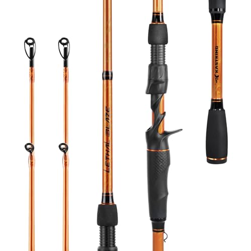 KastKing Lethal Blaze Twin-Tip Fishing Rods, IM6 Graphite Blanks Casting & Spinning Rods, 2-Piece Rod with Extra Tip, PTS Power Transition System, Ideal for Bass, Freshwater & Inshore Fishing - size: 7'2''- MH (2pcs + Extra Tip), style: Cast