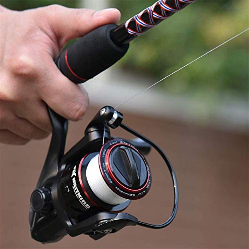 KastKing Brutus Spinning Reel, Freshwater Spinning Fishing Reels, Graphite Frame, CNC Aluminum Spool, 5.2:1 Gear Ratio, 4+1 Ball Bearings - style: 3000