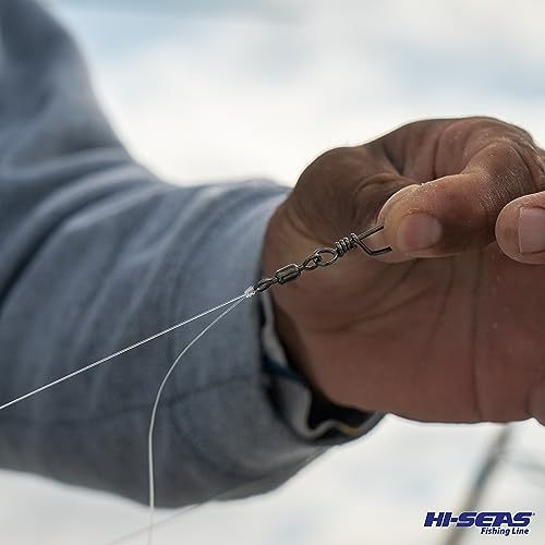 HI-SEAS 100% FLUOROCARBON Fishing LINE Leader - Clear Invisible Leader UNDETECTABLE to Fish, Fast Sinking 6LB-400LB - style: 0.039 in / 1.00 Mm, 100 Lb, 25 Yd
