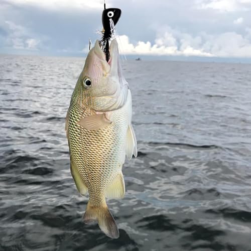 Fly Fishing Poppers,Topwater Popper Flies Bugs Lure, Dry Flies Kit for Bluegill Sunfish Bass Crappie Steelhead Flies Trout Salmon Perch for Fly Fishing Bass Panfish Bluegill Trout Salmon - color: 10pcs