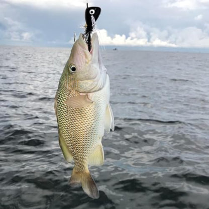 Fly Fishing Poppers,Topwater Popper Flies Bugs Lure, Dry Flies Kit for Bluegill Sunfish Bass Crappie Steelhead Flies Trout Salmon Perch for Fly Fishing Bass Panfish Bluegill Trout Salmon - color: 10pcs