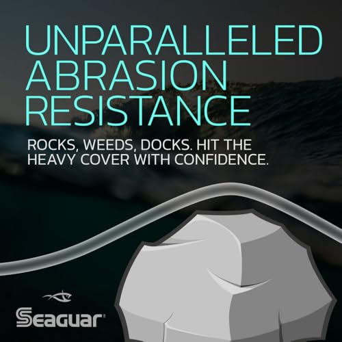 SeaguarFluorocarbon Fishing Line - size: 15lbs/66yds